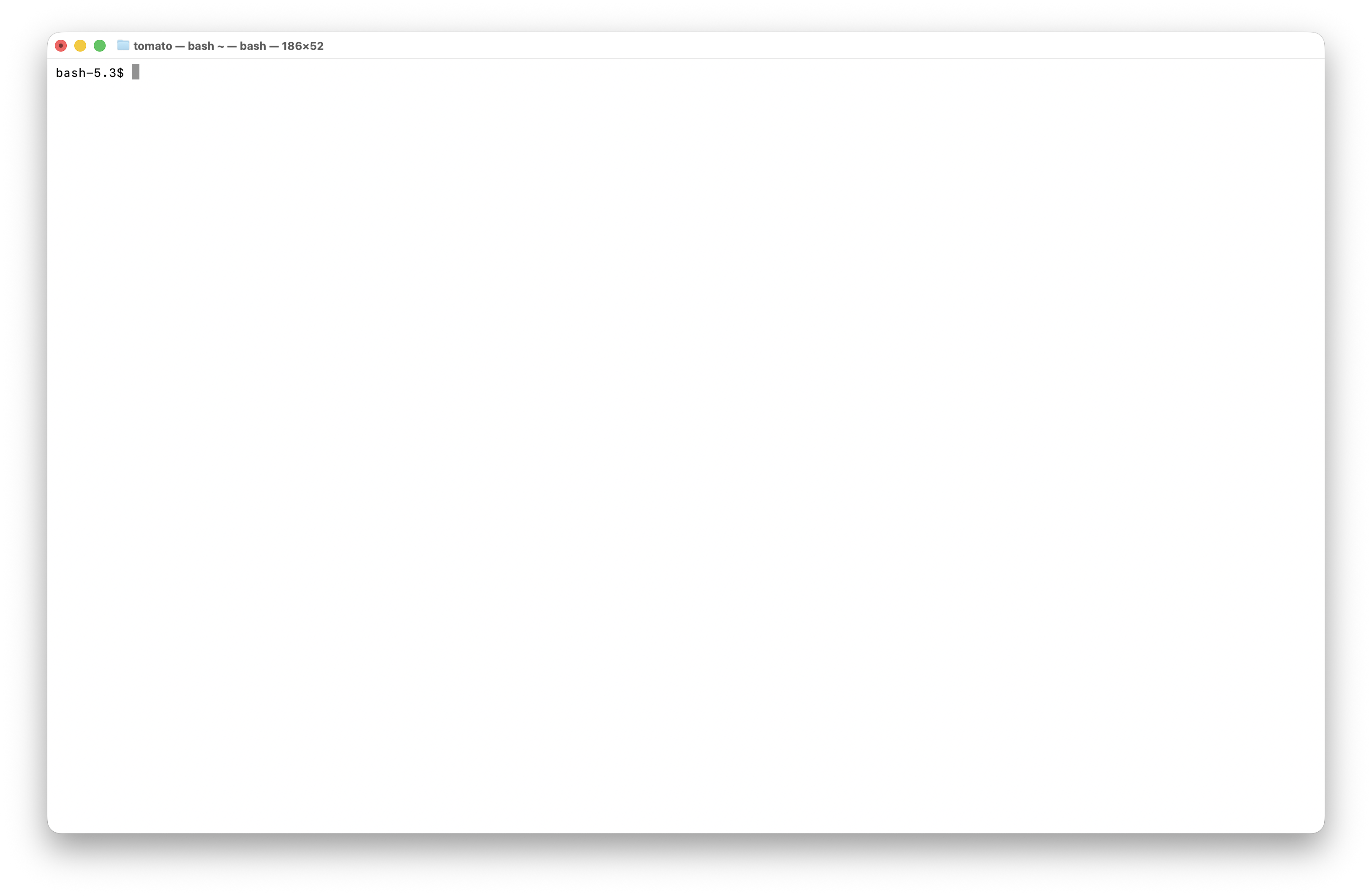 An image of MacOS Terminal with bash prompt loaded